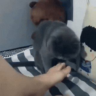 153360413134250.gif