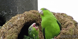 153382696889496.gif