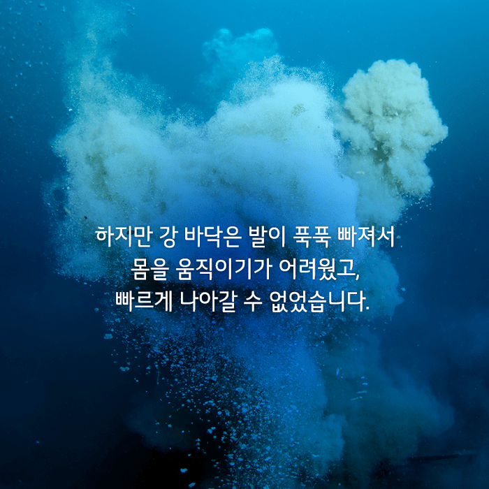 153387167260280.png