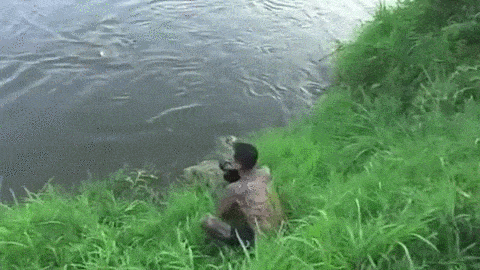 153452184959530.gif