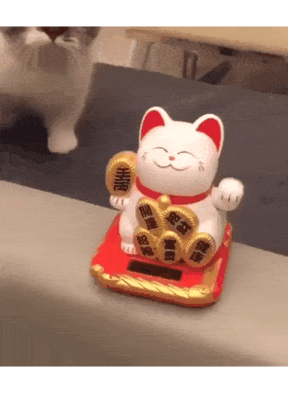 153641903745331.gif