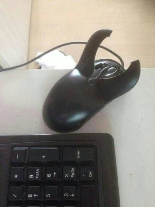 153641903837811.jpg