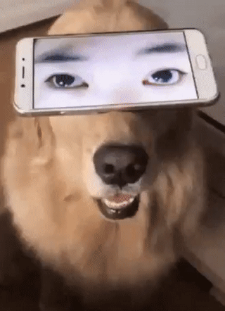153646207398908.gif