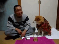 153647236154900.gif