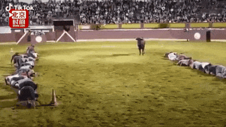 153699577264636.gif