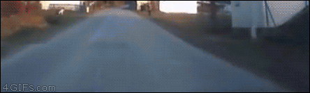 153844535184631.gif