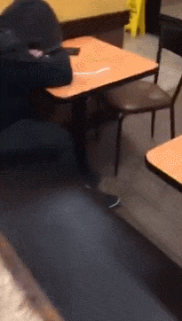 153844926087682.gif