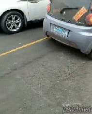 153874595296494.gif
