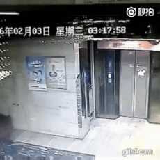 153896981438814.gif