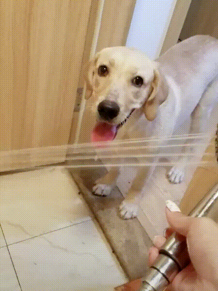 154046085218920.gif