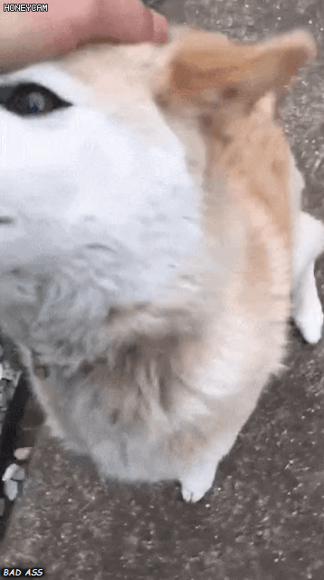 154046094879745.gif
