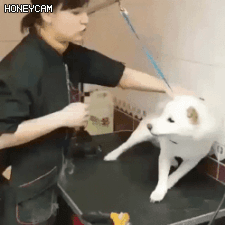 154046643085191.gif