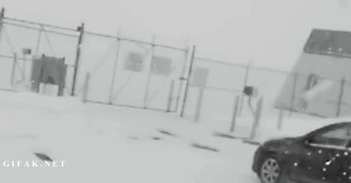 154054890216065.gif