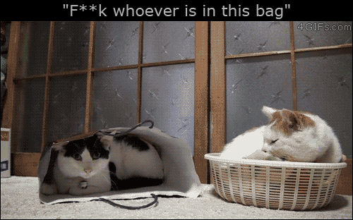 154055379856996.gif