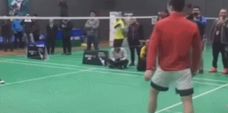 154240271029829.gif