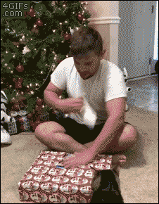 154296624024026.gif
