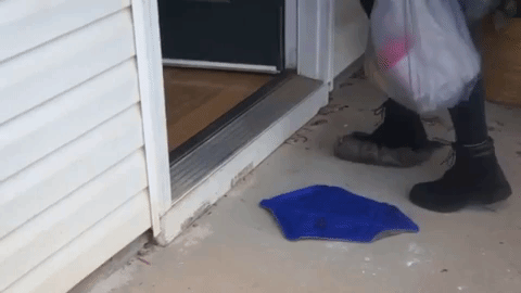 154298699427281.gif