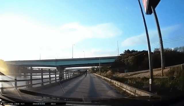 154301799345204.gif