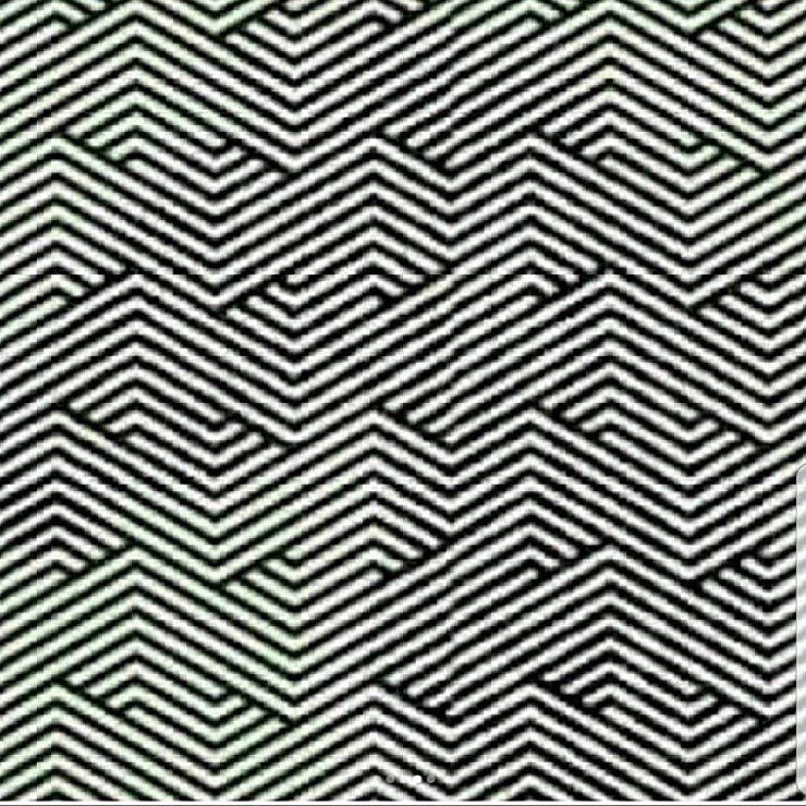 154367003045431.jpeg