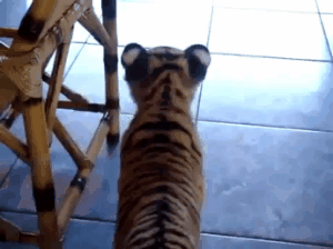 154389028794482.gif