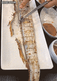 154406259631851.gif
