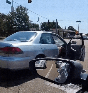 154496206593353.gif