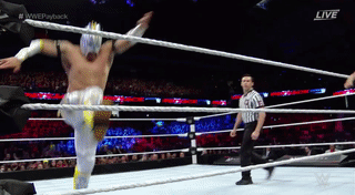 154496451142261.gif