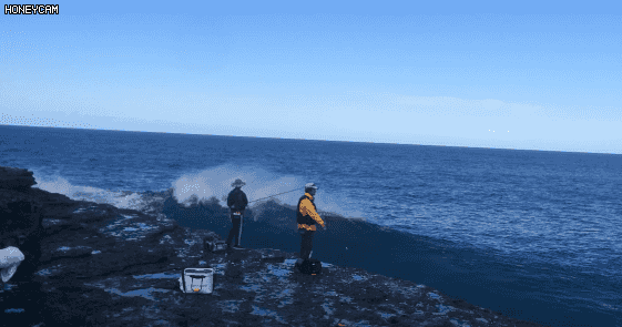 154497578638494.gif