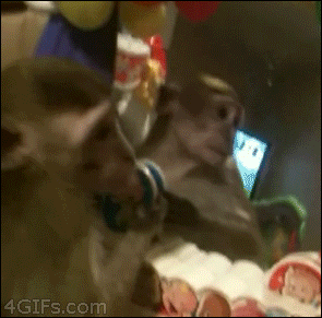 154544821912288.gif