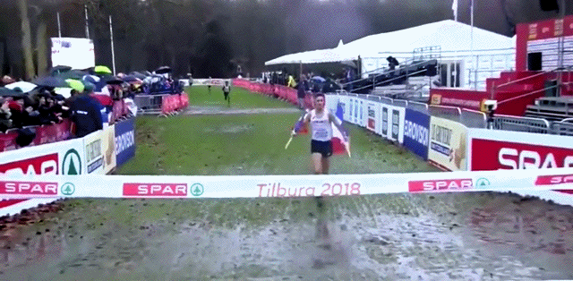 154545192632138.gif