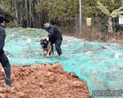 154545213390383.gif