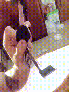 154588232017668.gif