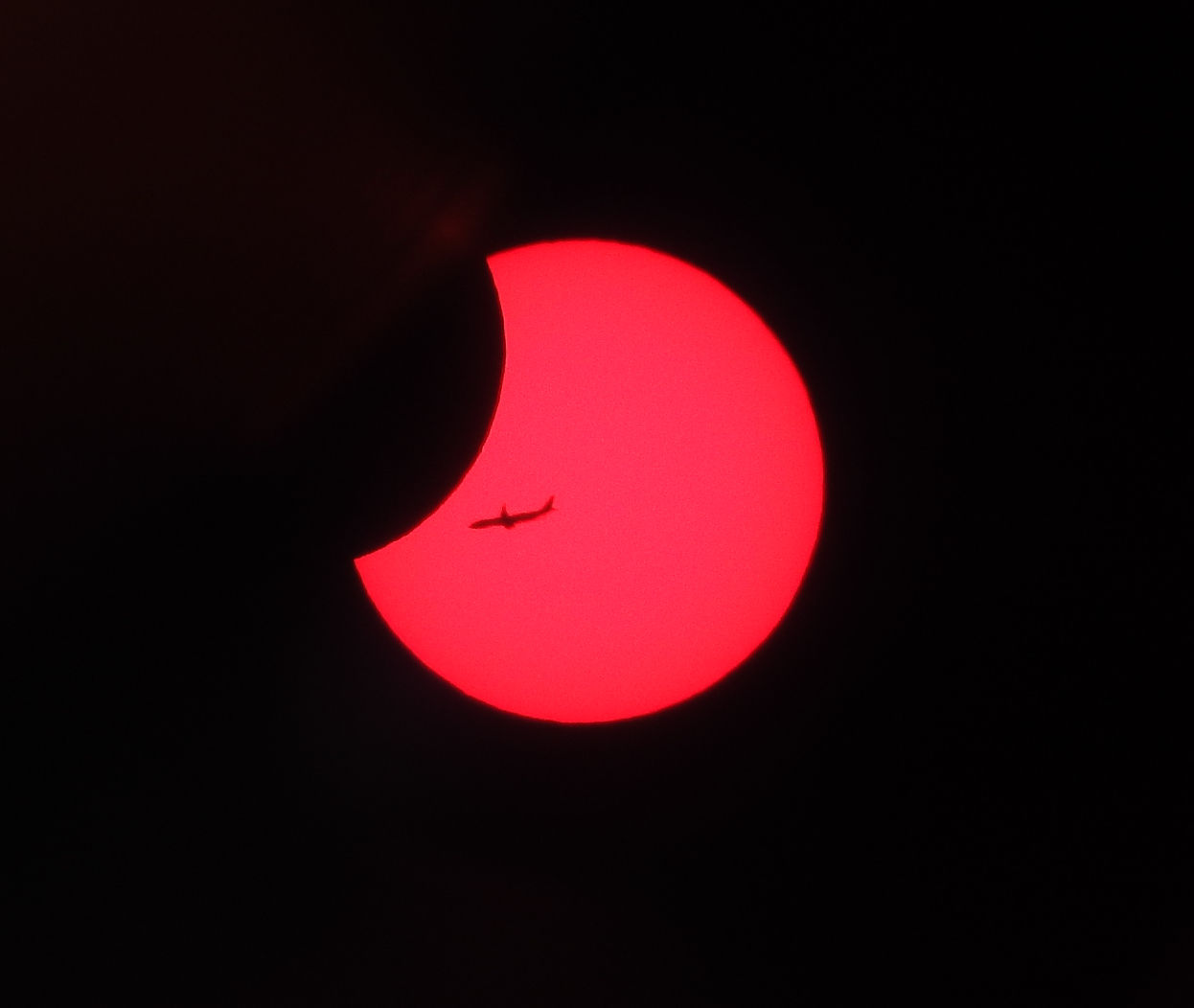 154674169565971.jpg