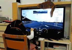 154701121756956.gif