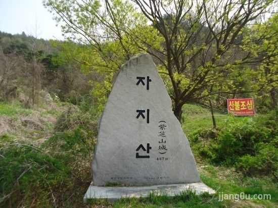 154761118967115.jpg