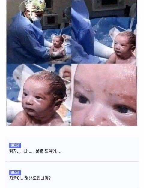 154805413754305.jpg