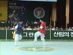154805425879151.gif