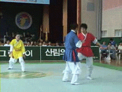 154805427450410.gif