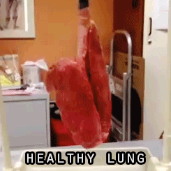 154812496313614.gif