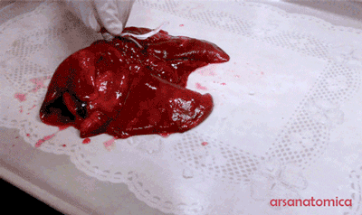 154812496368748.gif