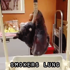 154812496382066.gif