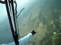 154813085139026.gif
