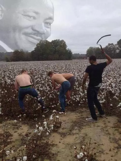 154858803083772.png
