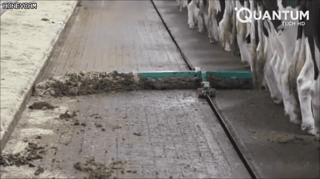 154860121747621.gif
