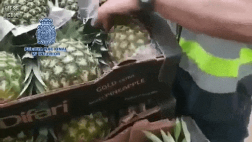 154863118969557.gif