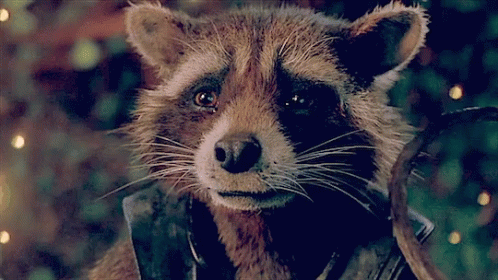 154971555667509.gif
