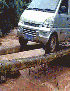 155032468396231.gif