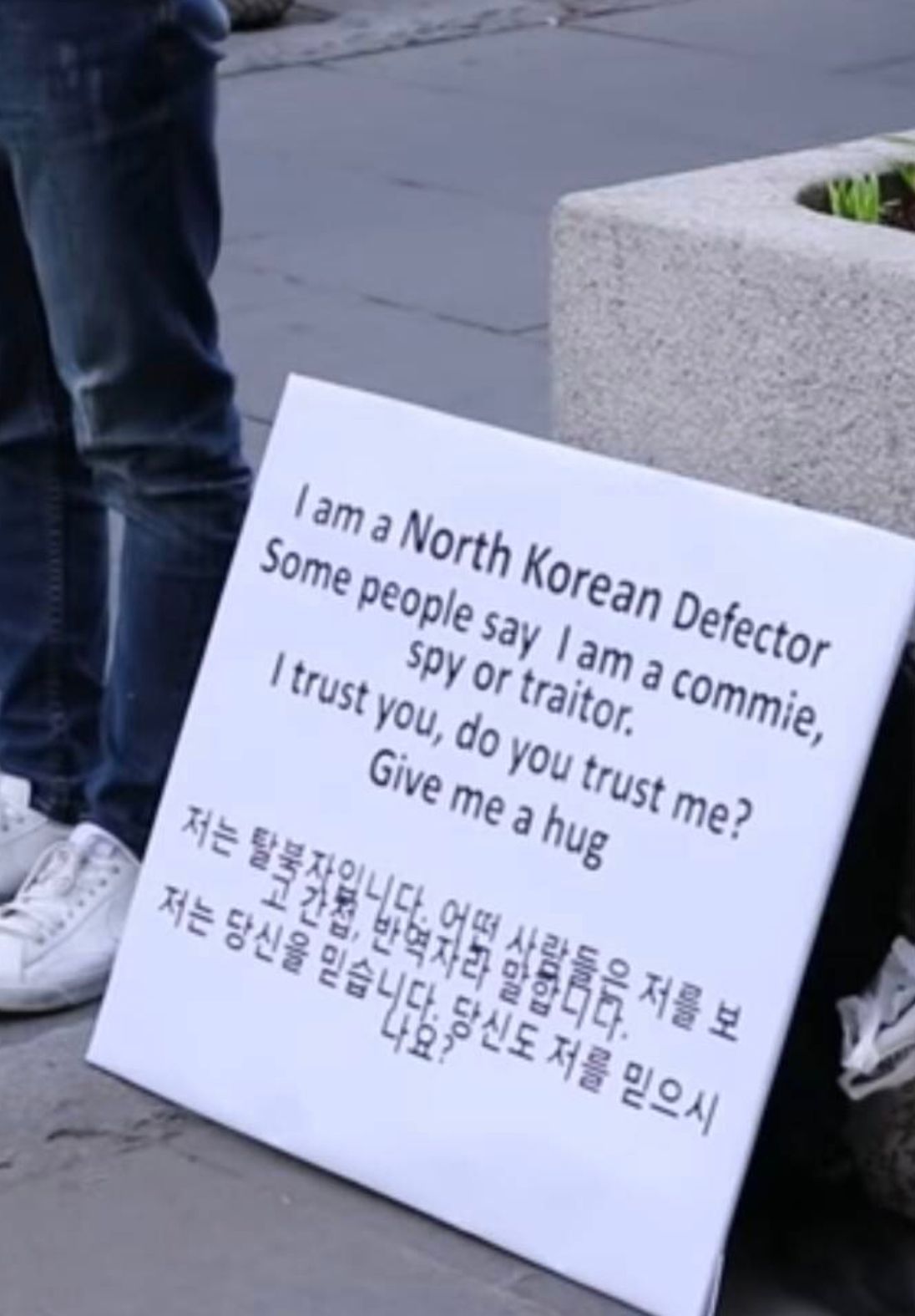 155036530184408.jpg