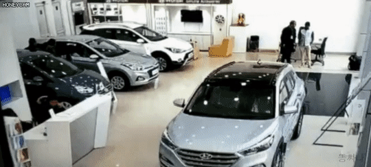 155069216545603.gif