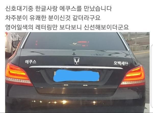 155080027196779.jpg